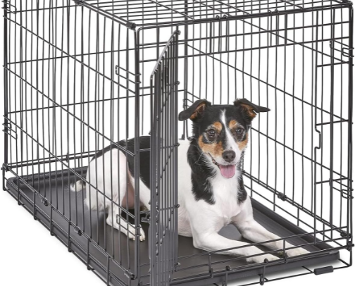 Puppy Starter Kit 🐶 cover photo collage