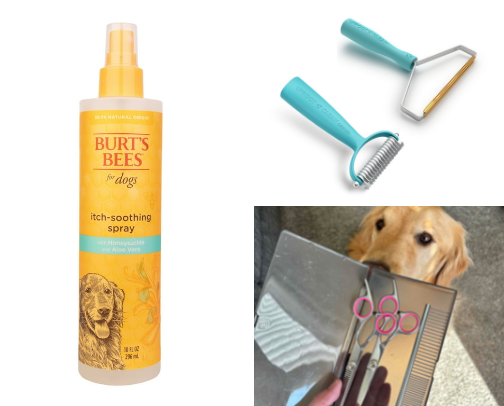 Dog grooming essentials cover photo collage