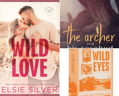 My favorite spicy single parent books cover photo collage