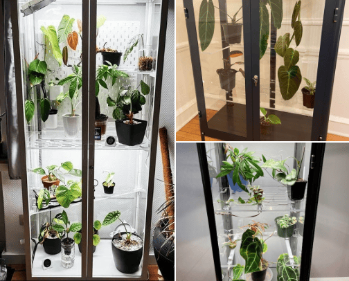 2024 Building an Ikea Greenhouse! cover photo collage
