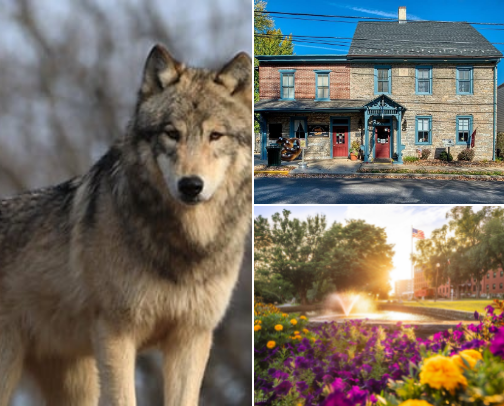 Top Things to Do in Lititz, Pennsylvania cover photo collage