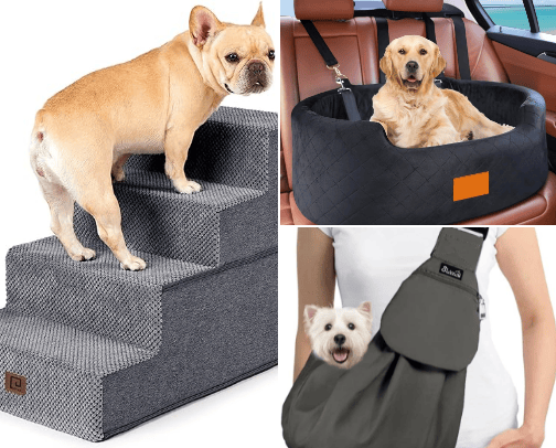 Tiny dog must haves! cover photo collage