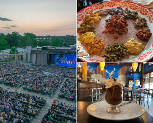 Memorable things to do in the St Louis, Missouri metro area! cover photo collage