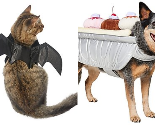 Dog Halloween Costumes! cover photo collage