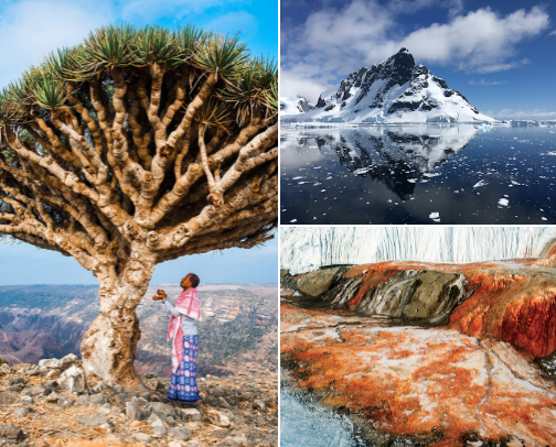 Recommended place to visit 🎒🧳🧭 cover photo collage