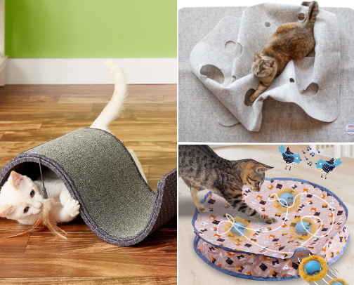 Shop at Chewy for your Kitty cover photo collage