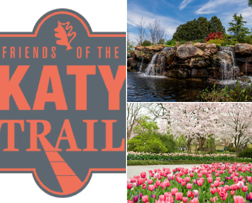 Things to do in Dallas, TX 🤠 cover photo collage