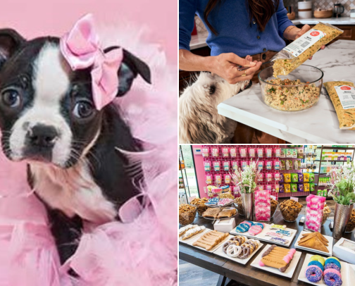 Danielle’s Top Pet Product Picks – Essentials for Every Pet Owner cover photo collage