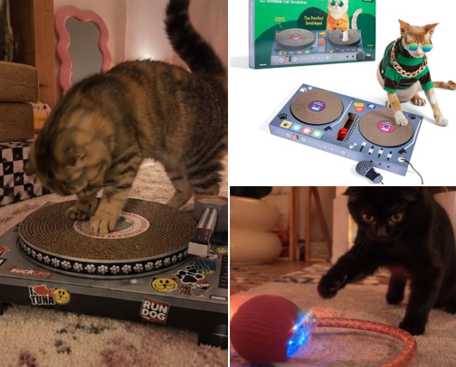 cutest and coolest CAT finds🐈‍⬛🐈🐱🎀 cover photo collage