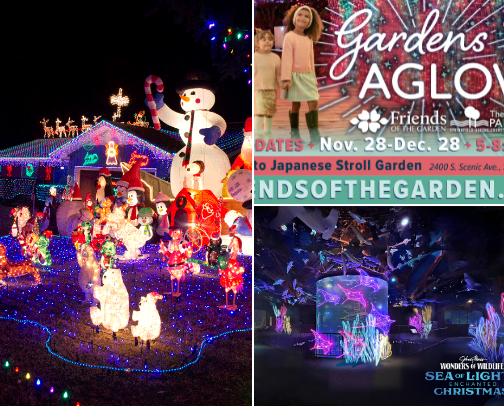 Merry & Bright Bucket List - Near Springfield/Branson MO cover photo collage