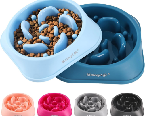 The Must-Have Slow Feeders Every Small Dog Needs Right Now cover photo collage