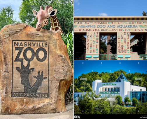 Tennessee Family Adventures Worth the Trip 🎶 cover photo collage