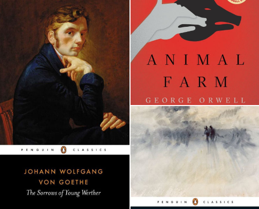 My favorite book recs cover photo collage