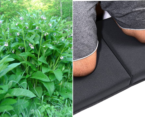 Gardening cover photo collage