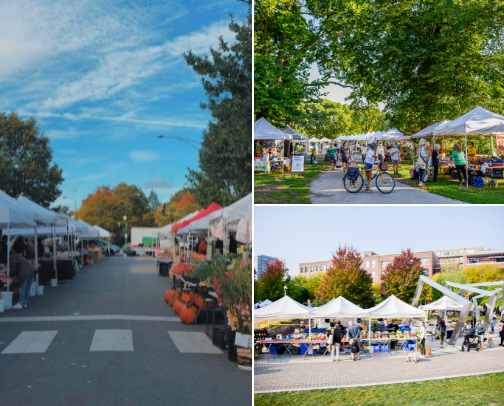 chicago things cover photo collage