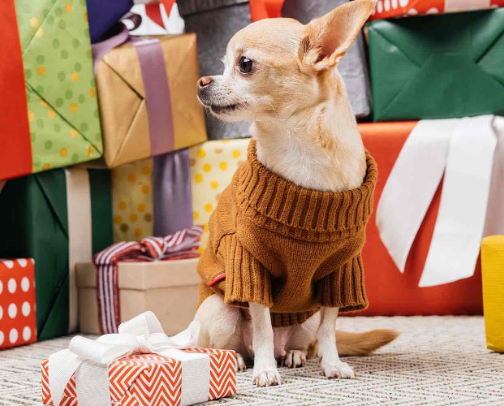 Gifts for Dog Owners 🐾 cover photo collage