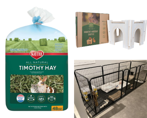 🐰 Bunny Starter Kit | Everything Your Bunny Needs Before Coming Home 🫶🏻 cover photo collage
