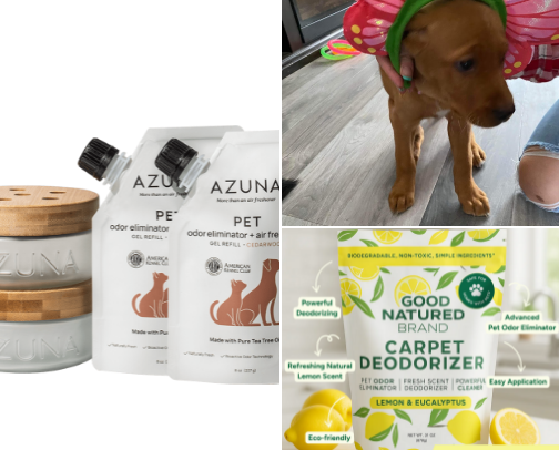 Dog Stuff cover photo collage