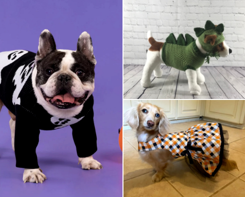 Halloween Dog Sweaters 🐾💜🕷️ • 2025 cover photo collage