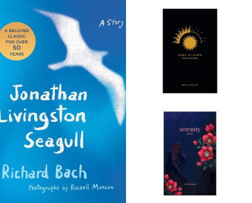 Book Recommendations cover photo collage