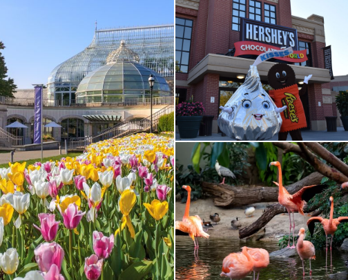 Things to Do: Pennsylvania cover photo collage