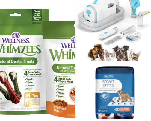 Dog Essentials cover photo collage
