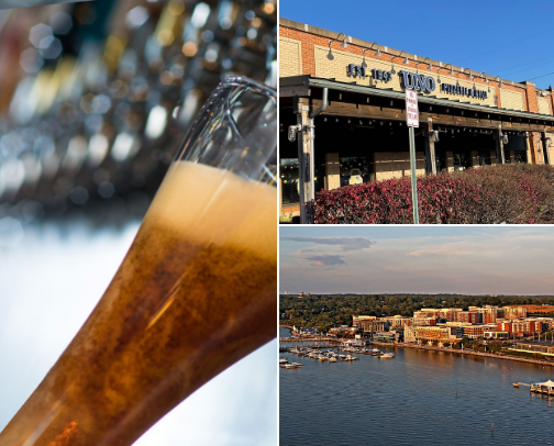 My top Springfield recs cover photo collage