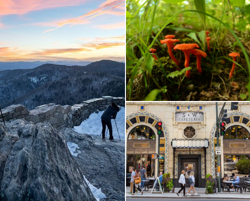 Asheville NC from a Different Perspective: For Curious Wanderers & Culture Lovers cover photo collage