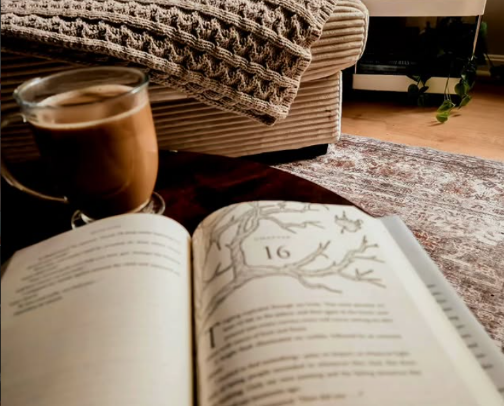 Book Nook cover photo collage