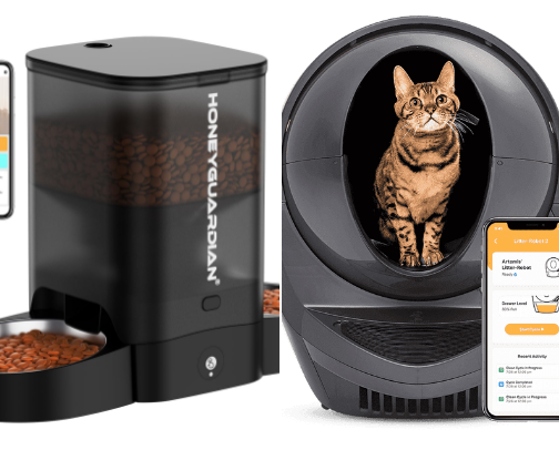 Must Have Cat Products cover photo collage