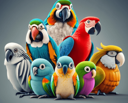 Birds Products I use for my pet cover photo collage