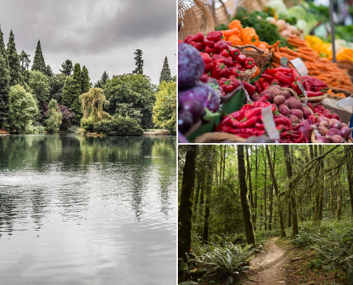 My new list cover photo collage