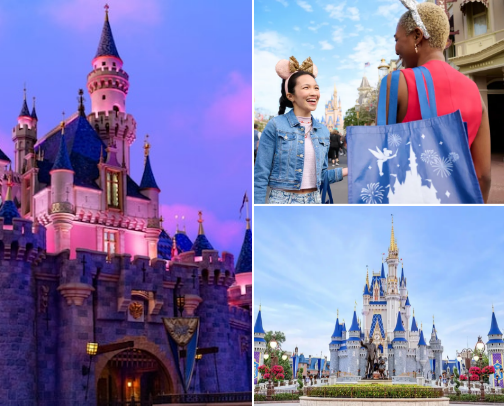 Disney Options cover photo collage
