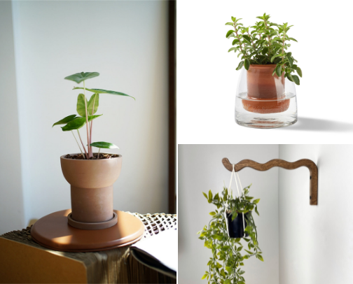 For Your Plant Babies cover photo collage