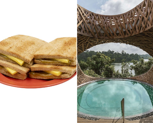 (SG) If You Plan to Visit Singapore… cover photo collage