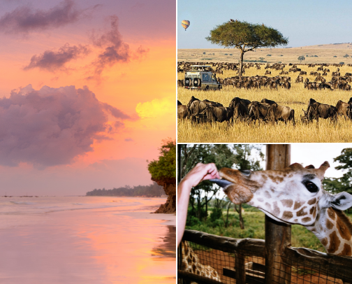 Travel - Must do in Kenya cover photo collage