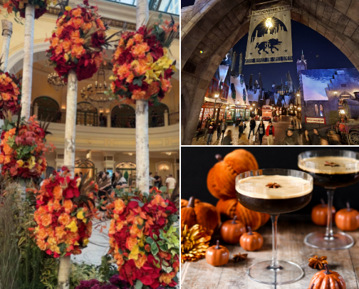 Do you love pumpkin spice? All things Fall? This is for you babe!! 🍁☕️ cover photo collage