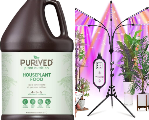 Plant Mom Finds cover photo collage