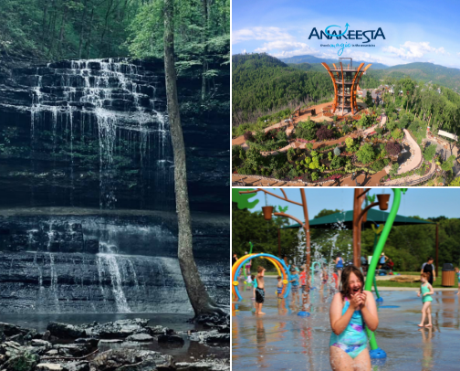 Tennessee cover photo collage