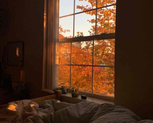 fall vibes: warm toasted marshmallows and pumpkin spiced lattes cover photo collage