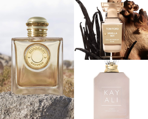 Go to Vanilla Fragrances🍦 cover photo collage