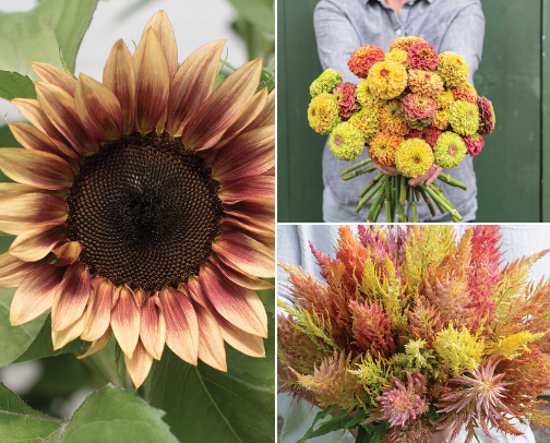 Bouquet Builders: My Cut Flower Lineup! cover photo collage