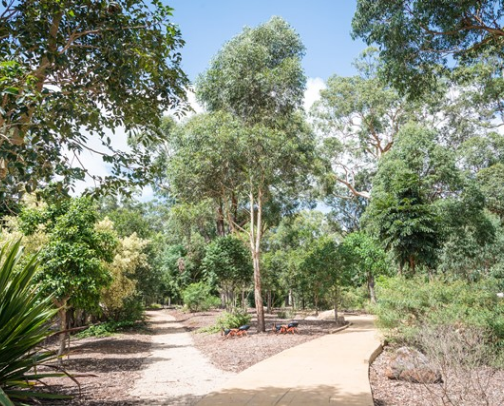 My top Cabarlah recs cover photo collage