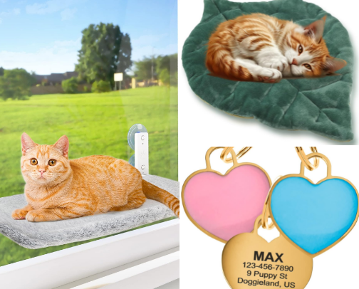 spoiled kitty essentials from amazon ☾ cover photo collage