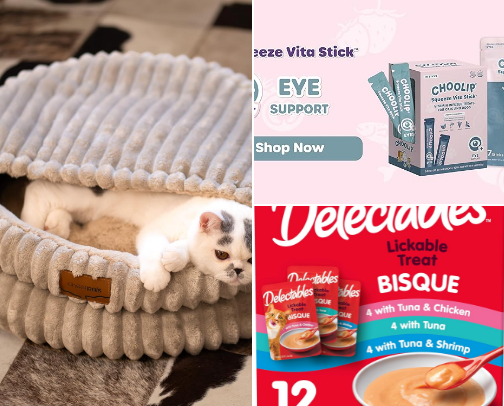 Your cat will love you with these items cover photo collage
