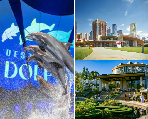 Things To Do & Attractions In Atlanta cover photo collage