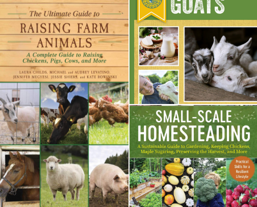 Backyard Homesteading Necessities cover photo collage
