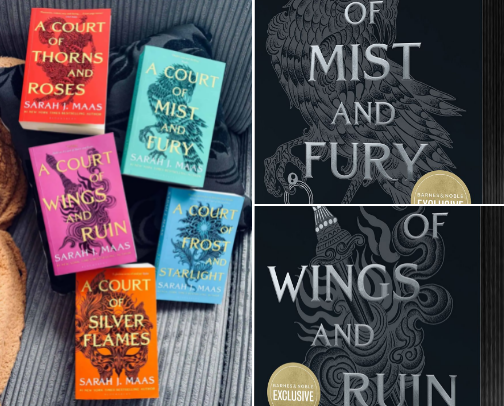 Books Ive read this year as a Fantasy lover cover photo collage