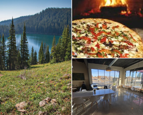 Things to do in the area! cover photo collage