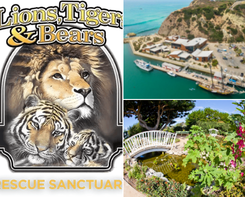 🐾 For the Animal Lovers | Places to See & Meet Animals cover photo collage